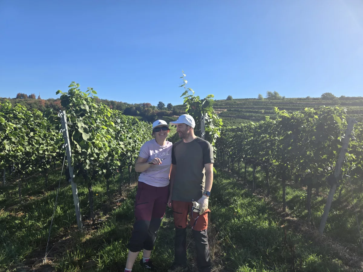 03/09 Les vendanges en Allemagne !