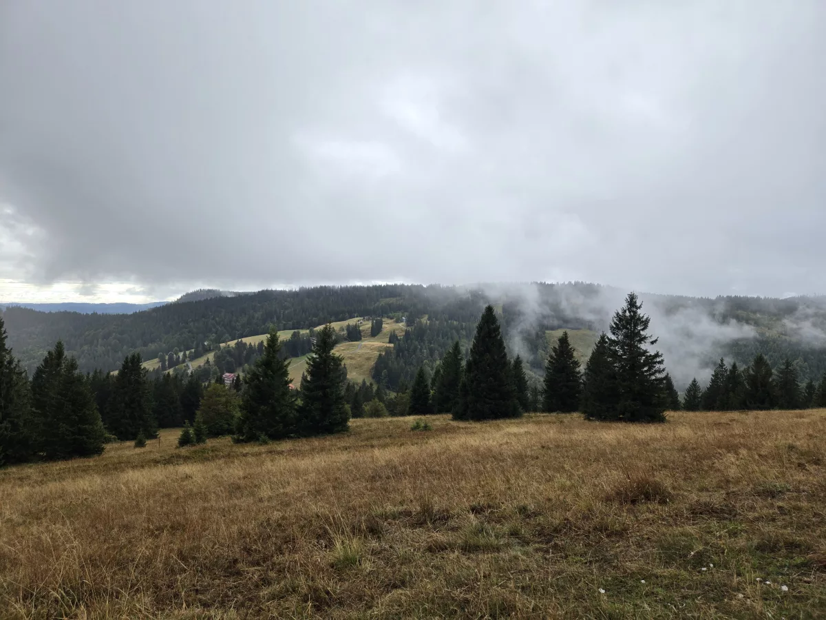 14/09 Une Forêt noire en Forêt noire après une belle randonnée