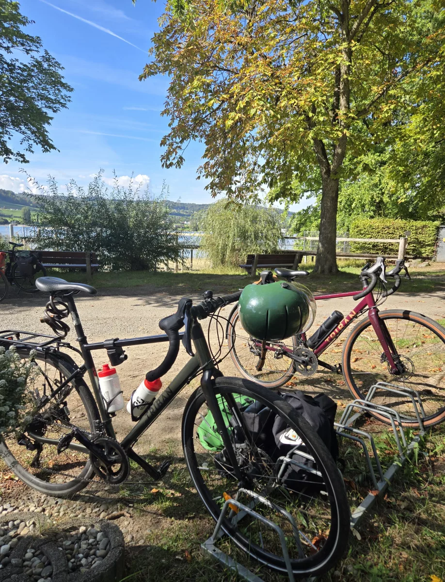 velo constance